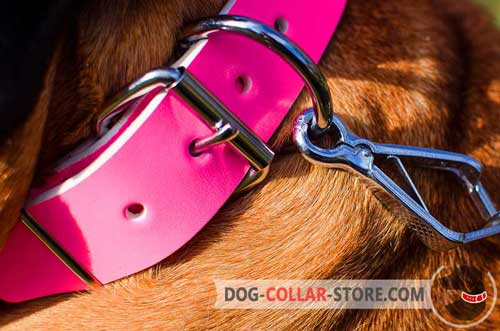 Nickel Plated Buckle And D-Ring On Pink Leather Dog Collar