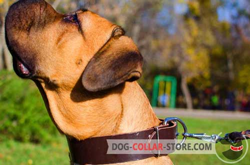 Easily Adjustable Leather Cane Corso Collar