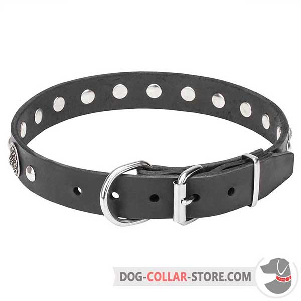 Dog Collar with durable hardware