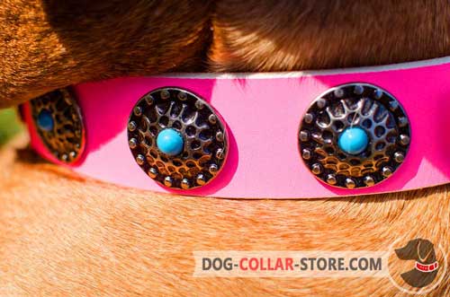 Rustless Circles With Blue Stones On Pink Leather Dog Collar