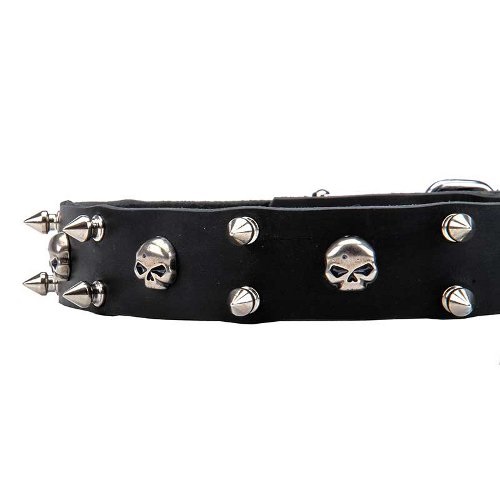 Leather Dog Collar 1 1/10 inch (30 mm) wide