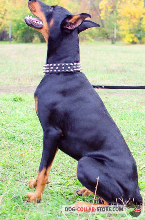 Leather Dog Collar Spiked Design