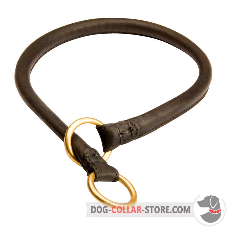 puppy slip collar