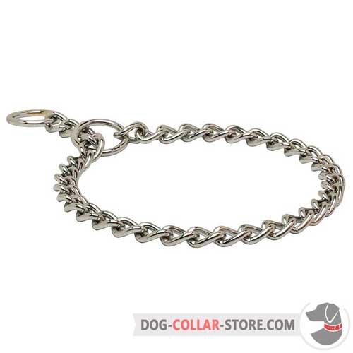 Chrome Plated Choke Chain Dog Collar