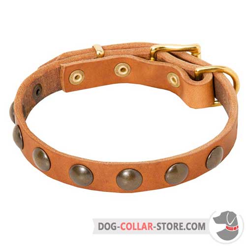 Adjustable Leather Dog Collar with Vintage Brass Studs