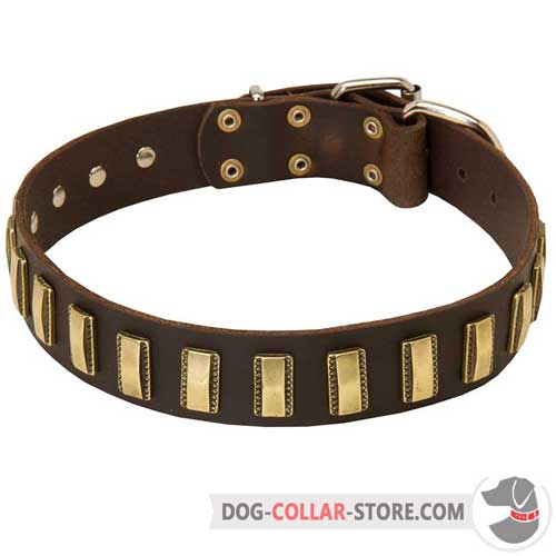 Training Leather Dog Collar with Brass Plates