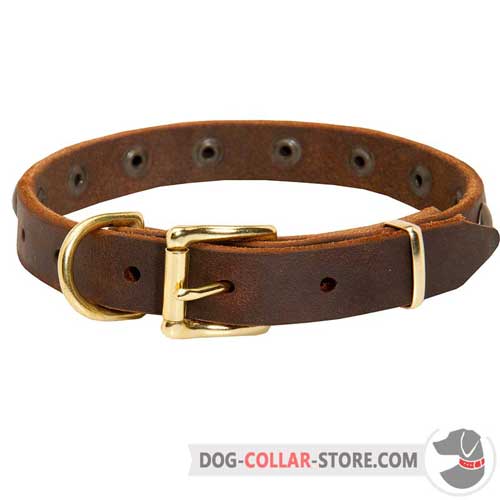 Brown Leather Dog Collar with Durable Brass Plated Fittings