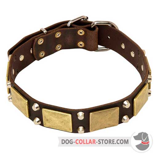 Designer Leather Dog Collar with Stylish Plates and Studs