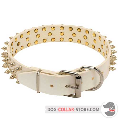 Leather Dog Collar of Spiked Design