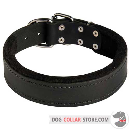 Leather Padded Collar