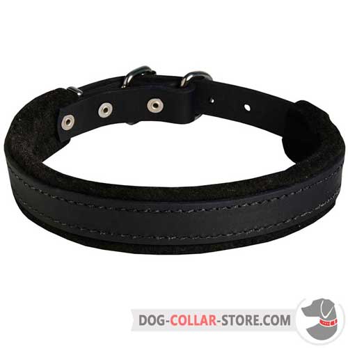 Felt Padded Leather Dog Collar for Intense Training