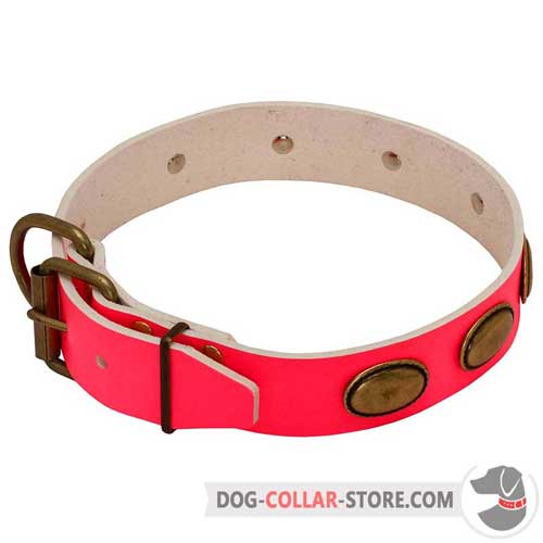 Pink Leather Dog Collar Adjustable with Brass Fittings