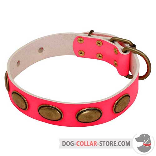 Pink Leather Dog Collar with Vintage Oval Brass Plates