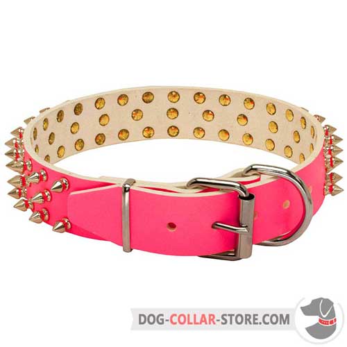 Leather Dog Collar Spiked Design