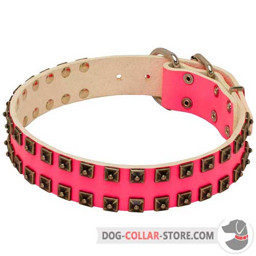 Pink Leather Dog Collar for Regular Walking