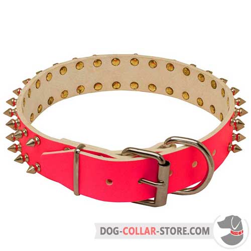 Leather Dog Collar Spiked Design