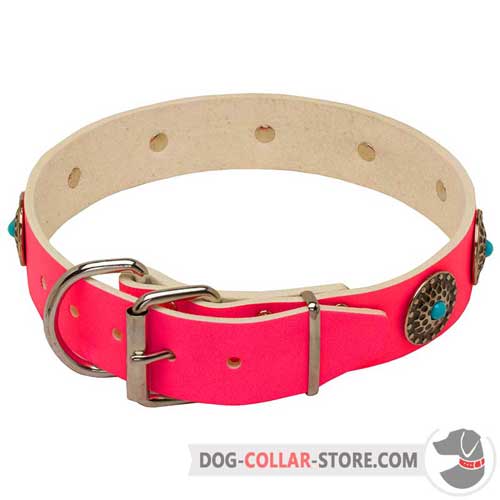 Pink Leather Dog Collar with Strong Nickel Plated Fittings