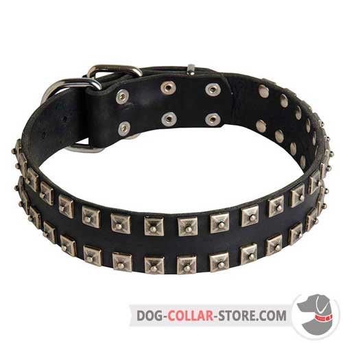 Hand Decorated Leather Dog Collar for Walking