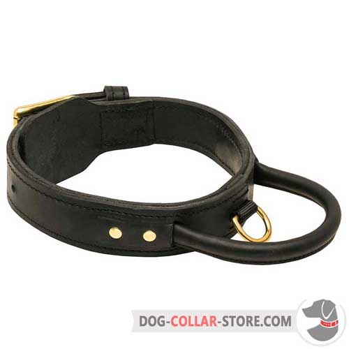 Two Ply Leather Dog Collar With Handle for Training Sessions