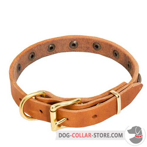 Vintage Leather Dog Collar with Duly Welded Brass Plated Hardware