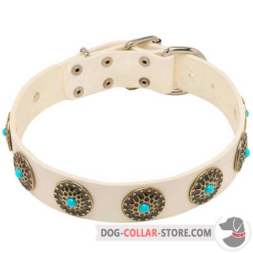 White Leather Dog Collar for Walking 