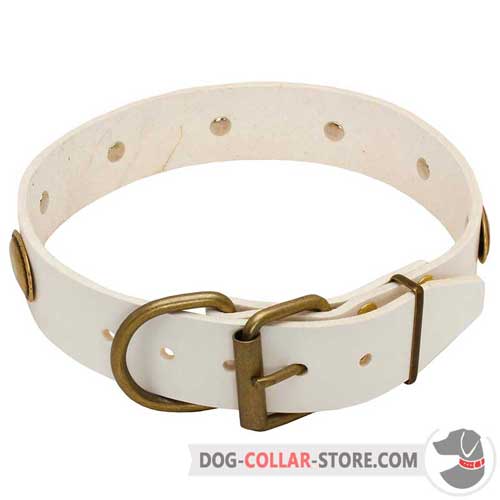 White Leather Dog Collar Equipped with Brass Fittings