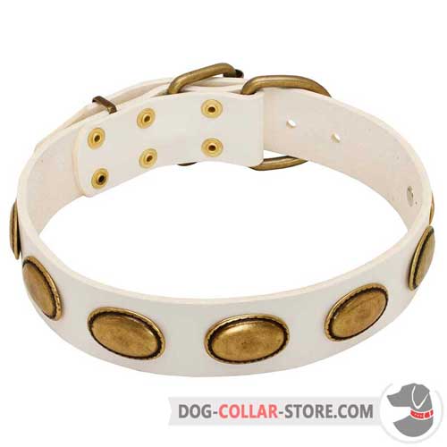 White Leather Dog Collar with Vintage Oval Brass Plates