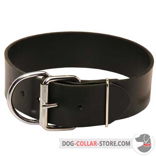 strong dog collar