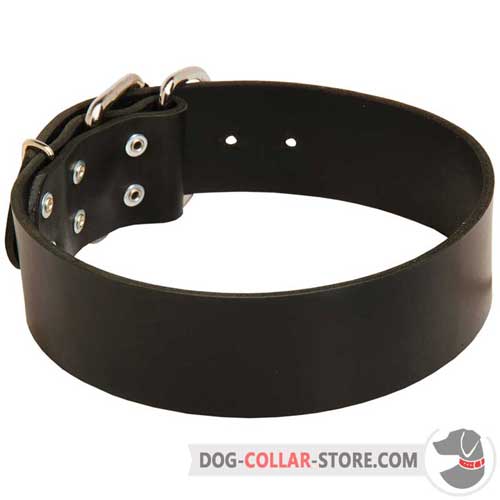 Wide Leather Dog Collar for Comfy Walking and Effective Training