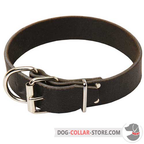 Wide Leather Dog Collar with Strong Nickel Plated Buckle