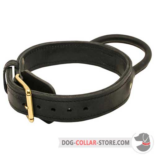 Training Leather Dog Collar With Reliable Brass-plated Buckle