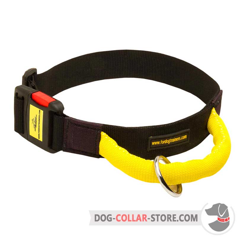 Order All Weather Nylon Amstaff Collar