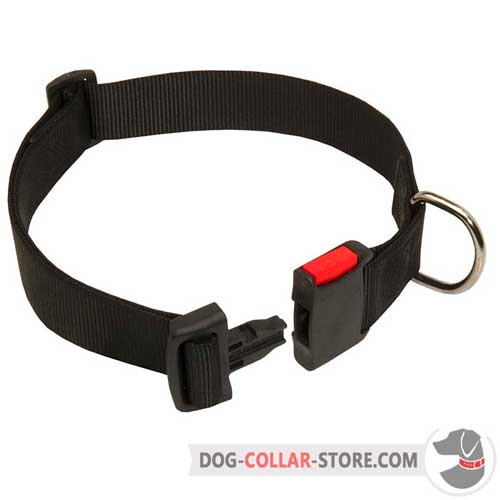 Nylon Dog Collar Multitasking
