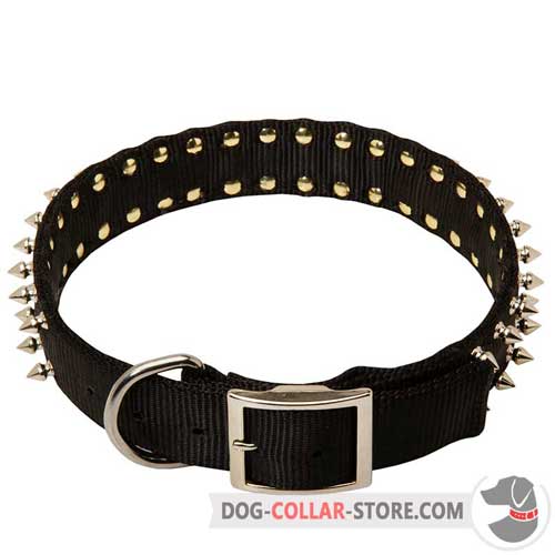 Everyday Walking Nylon Dog Collar with Buckle