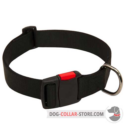 Waterproof Nylon Dog Collar Fits for Water Activities