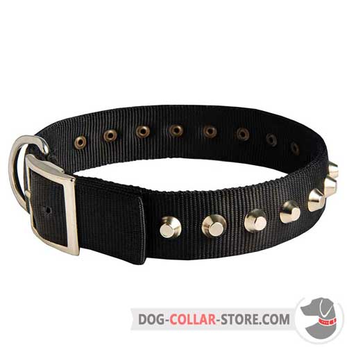 40 mm Wide Nylon Dog Collar with Metal Pyramids