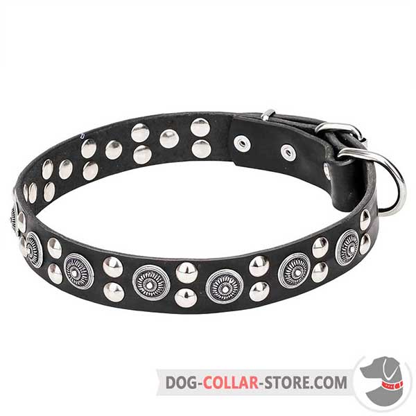 Leather Collar for walking, beautiful