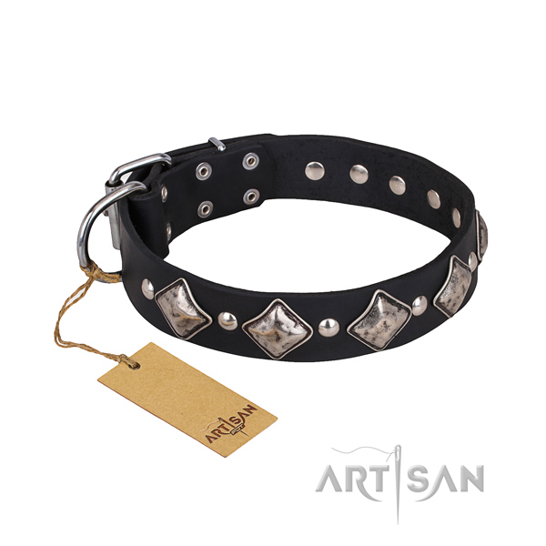 Indestructible leather dog collar with rust-proof fittings