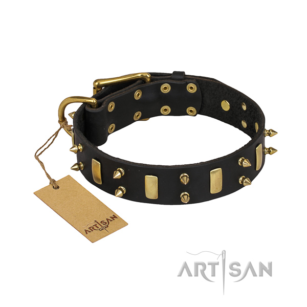 Durable leather dog collar with riveted elements