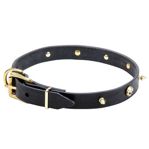 Leather Dog Collar designed for walking small breeds