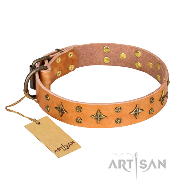 Fashionable full grain genuine leather dog collar for stylish walking