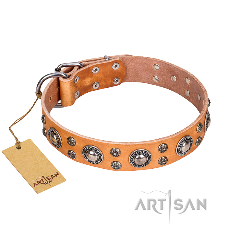 Nano Extra Thin Dog Collar in Sequins and Calfksin