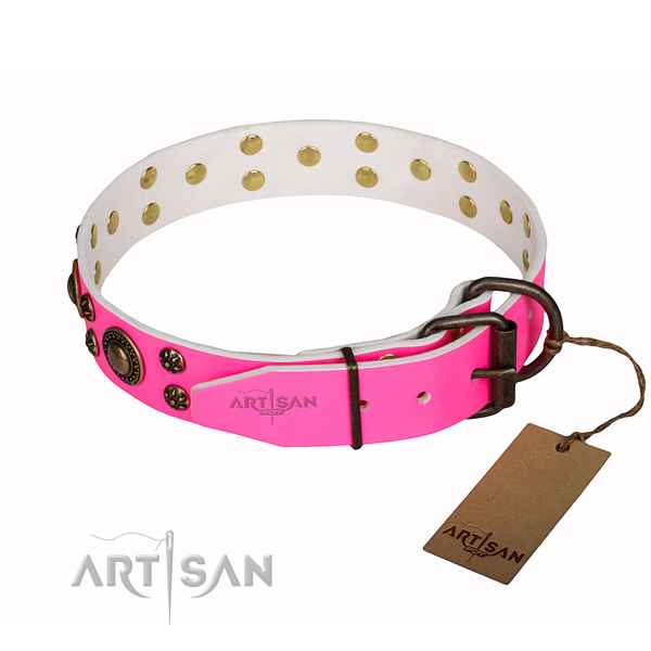 Incredible full grain natural leather dog collar for everyday use