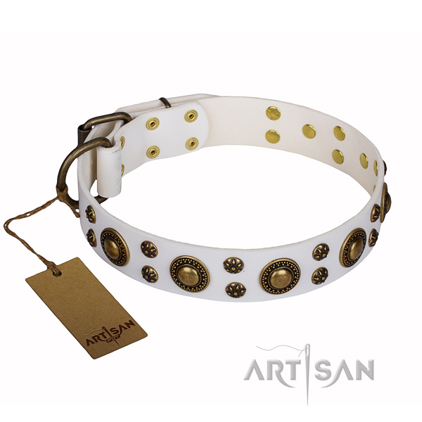 Stylish walking full grain genuine leather collar with decorations for your canine