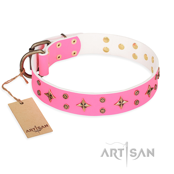 Inimitable full grain leather dog collar for daily use