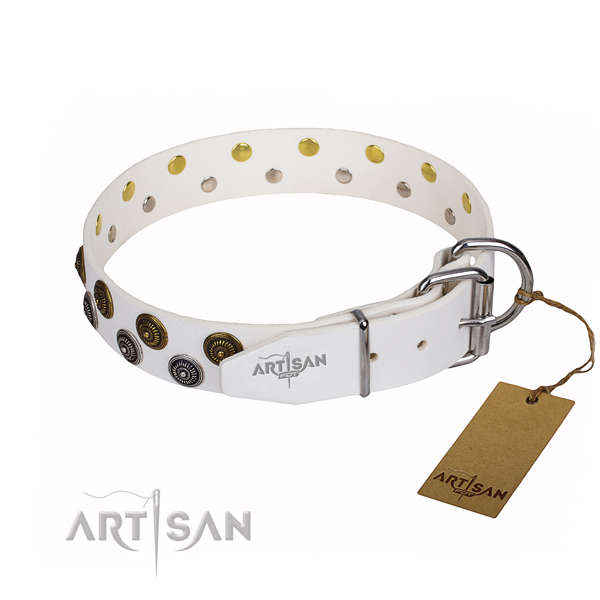 Stylish walking leather collar with studs for your four-legged friend