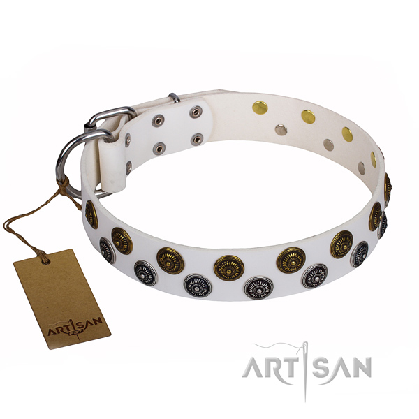 Inimitable leather dog collar for daily walking