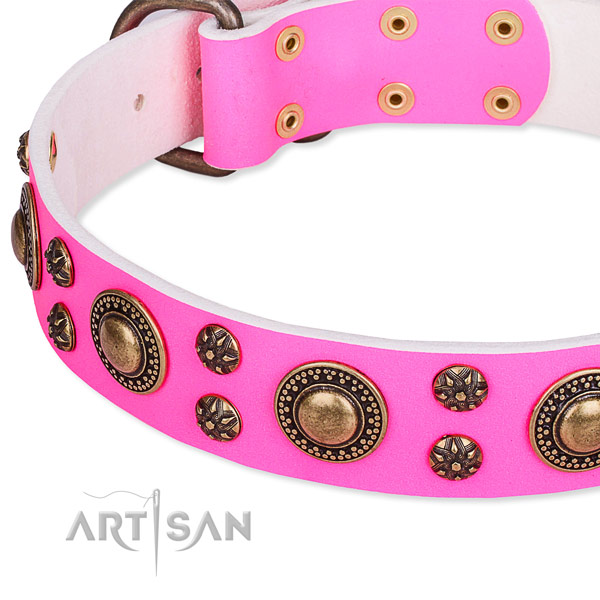 Natural genuine leather dog collar with significant studs