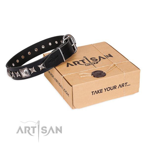 Embellished full grain natural leather dog collar for daily walking