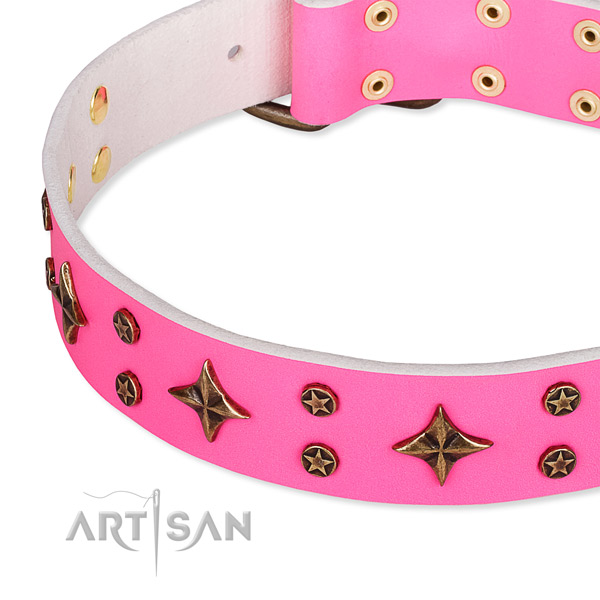 Full grain natural leather dog collar with exceptional decorations